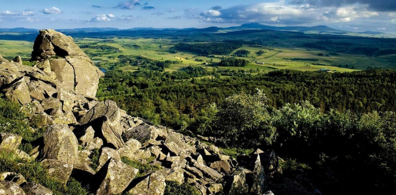 Chalet De Crouzillac Tence Екстер'єр фото